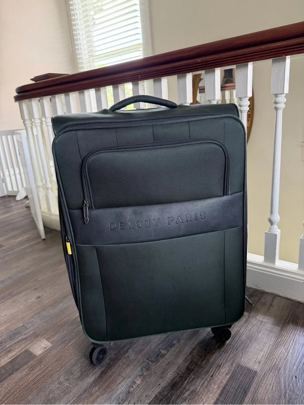 Delsey Paris Dark Green Medium Check-In and Carry-On Luggage